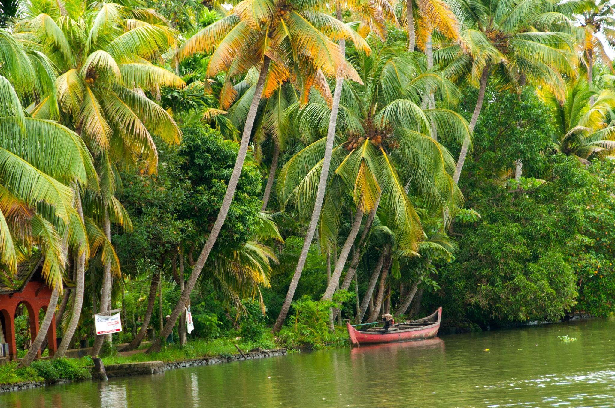 Canoe Boat Kerala