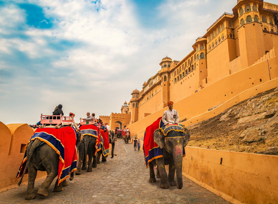 Elephan Ride Amer Jaipur