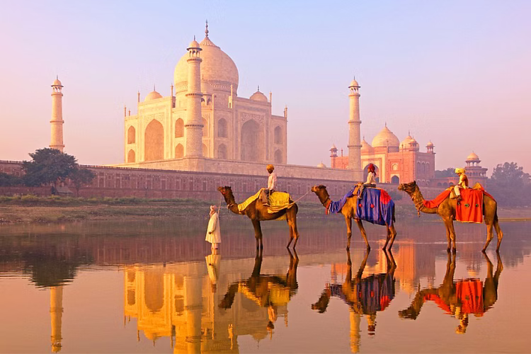 Golden Triangle Tour