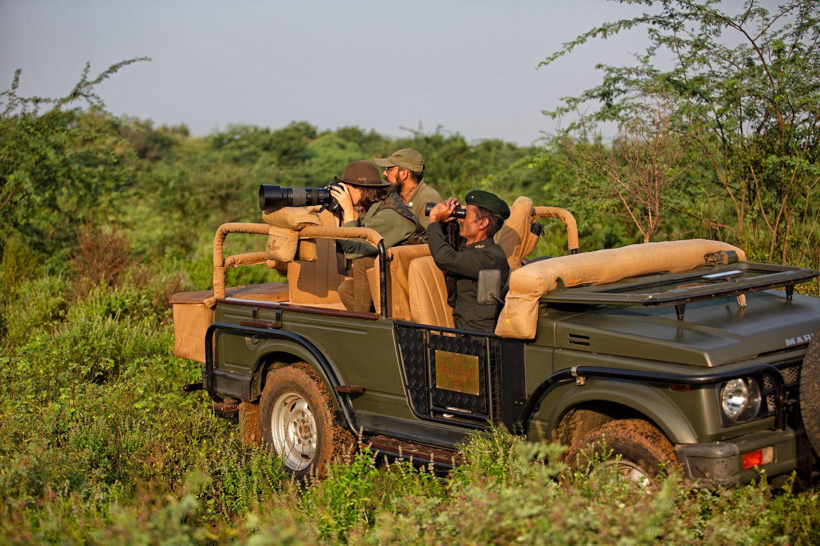 Jungle safari Ranthambore