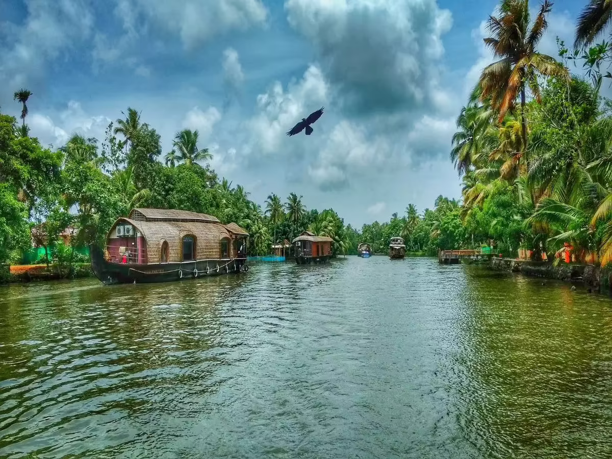 kerala backwaters