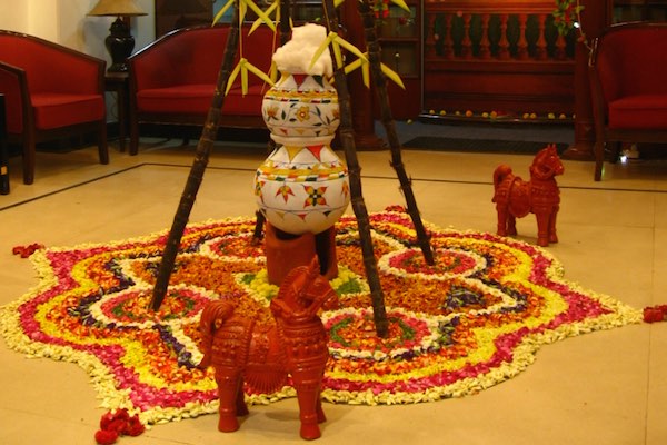 Pongal – Tamil Nadu’s Harvest Thanksgiving