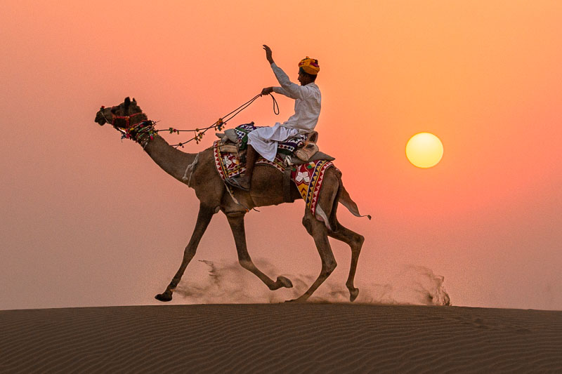 Pushkar camel festival